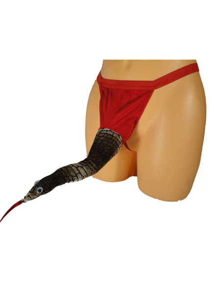 MÄNNER-TANGA GIFTSCHLANGE - 1
