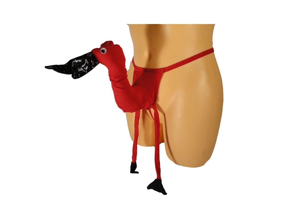 DUCK'S LONG LEGS MALE THONG - 1