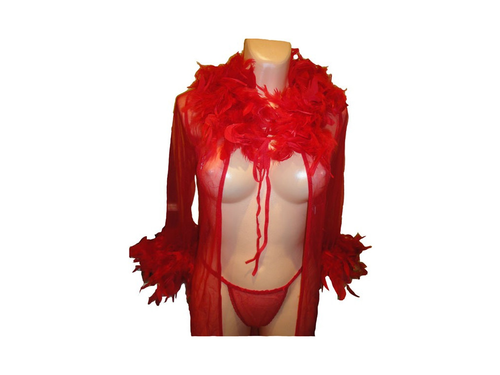 EROTISCHES GEWAND ROTES FEDERPENNY-GEWAND - 2