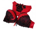 DESSOUS-SET ROTER ZIRKONIA - 1