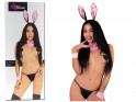 Bunny's ears and bow bow bow fly erotic disguise - 3