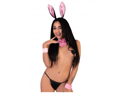 Bunny's ears and bow bow bow fly erotic disguise - 2