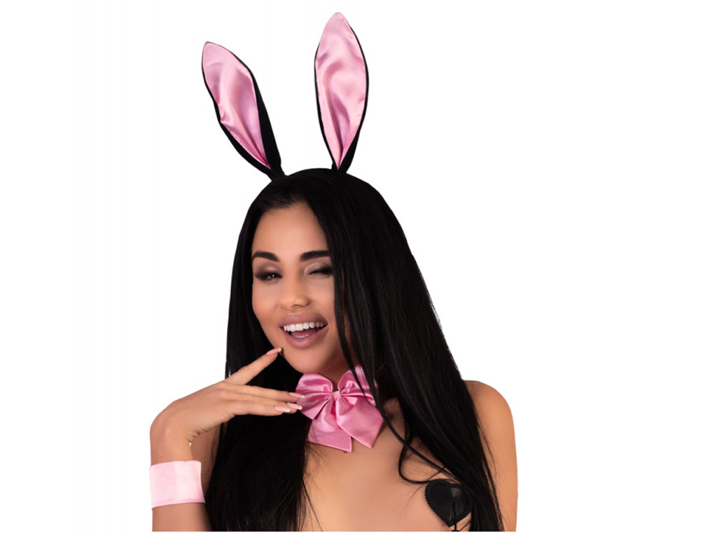 Bunny's ears and bow bow bow fly erotic disguise - 1