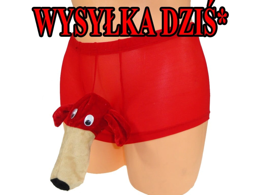 DAS LUSTIGE BOXERHAIHÖSCHEN - 1