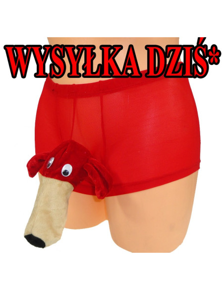 DAS LUSTIGE BOXERHAIHÖSCHEN - 1