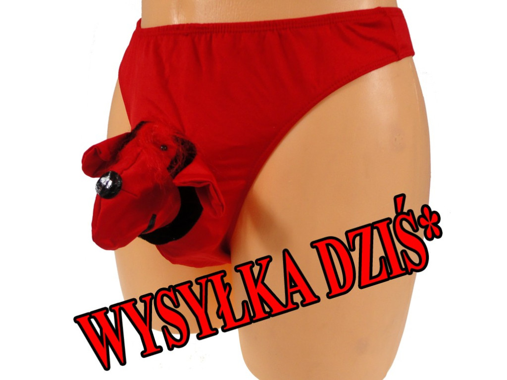 JUOKINGOS VYRIŠKOS STRING KELNAITĖS PLUTO RED - 1
