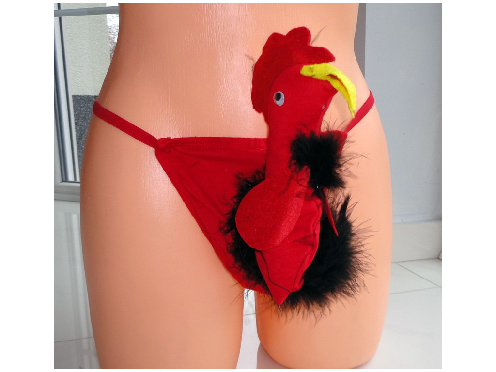 FUNNY PANTIES KOGUCIK HÚSKORNA - 2