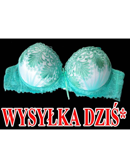 MAXIMÁLNE ROZŠÍRENIE ZELENEJ STRETNUTIA - 1