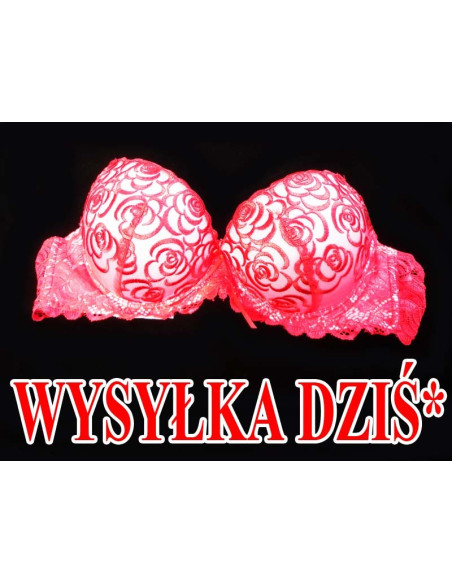 PUSH UP PAPLAŠINĀŠANĀS KRŪŠTURIS SARKANS - 1