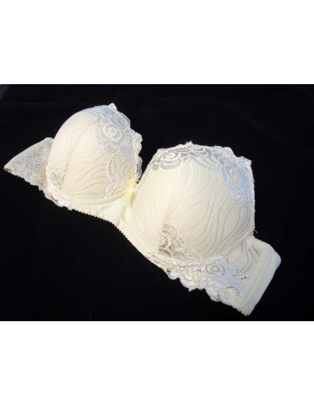 GLÄNZENDE SPITZE BEIGE BH - 2