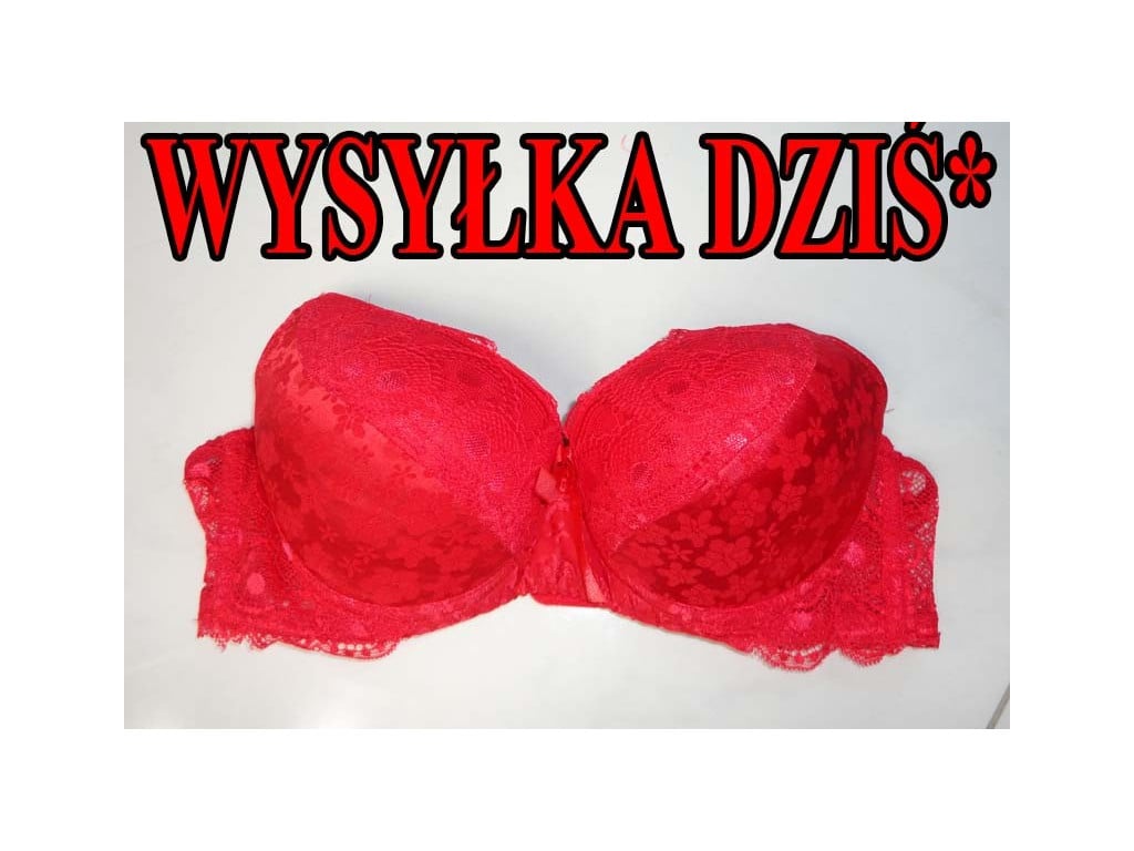 SARKANS PUSH UP MEŽĢĪŅU PAPLAŠINĀŠANĀS KRŪŠTURIS - 1